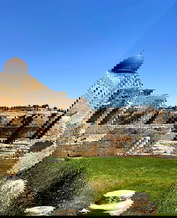 v.e.r.o._.n.i.c.a image ~ Altpins