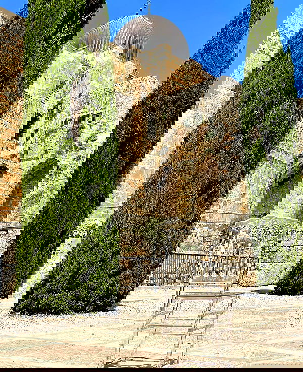 v.e.r.o._.n.i.c.a image ~ Altpins