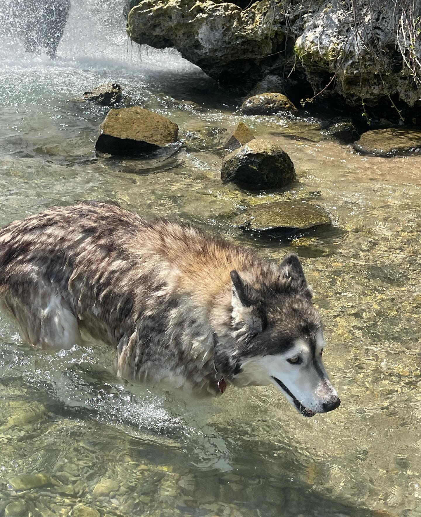 v.e.r.o._.n.i.c.a instagram image archive image