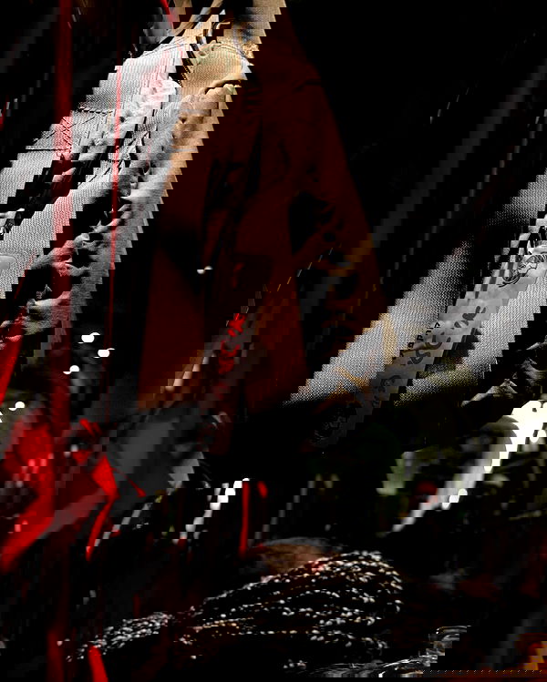 v.e.r.o._.n.i.c.a image ~ Altpins