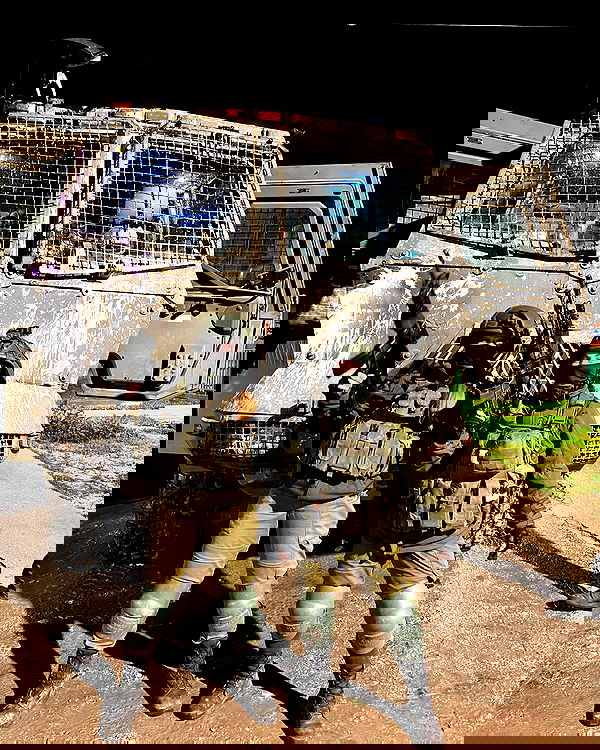 v.e.r.o._.n.i.c.a image ~ Altpins