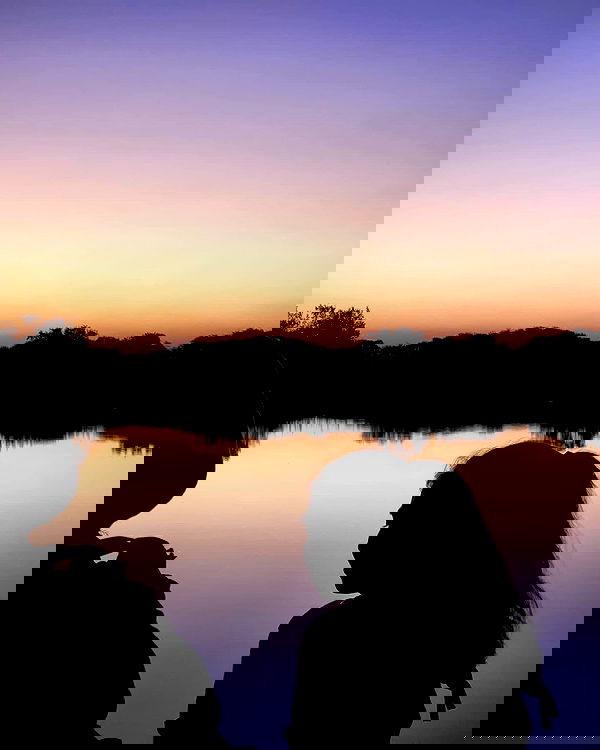 v.e.r.o._.n.i.c.a image ~ Altpins