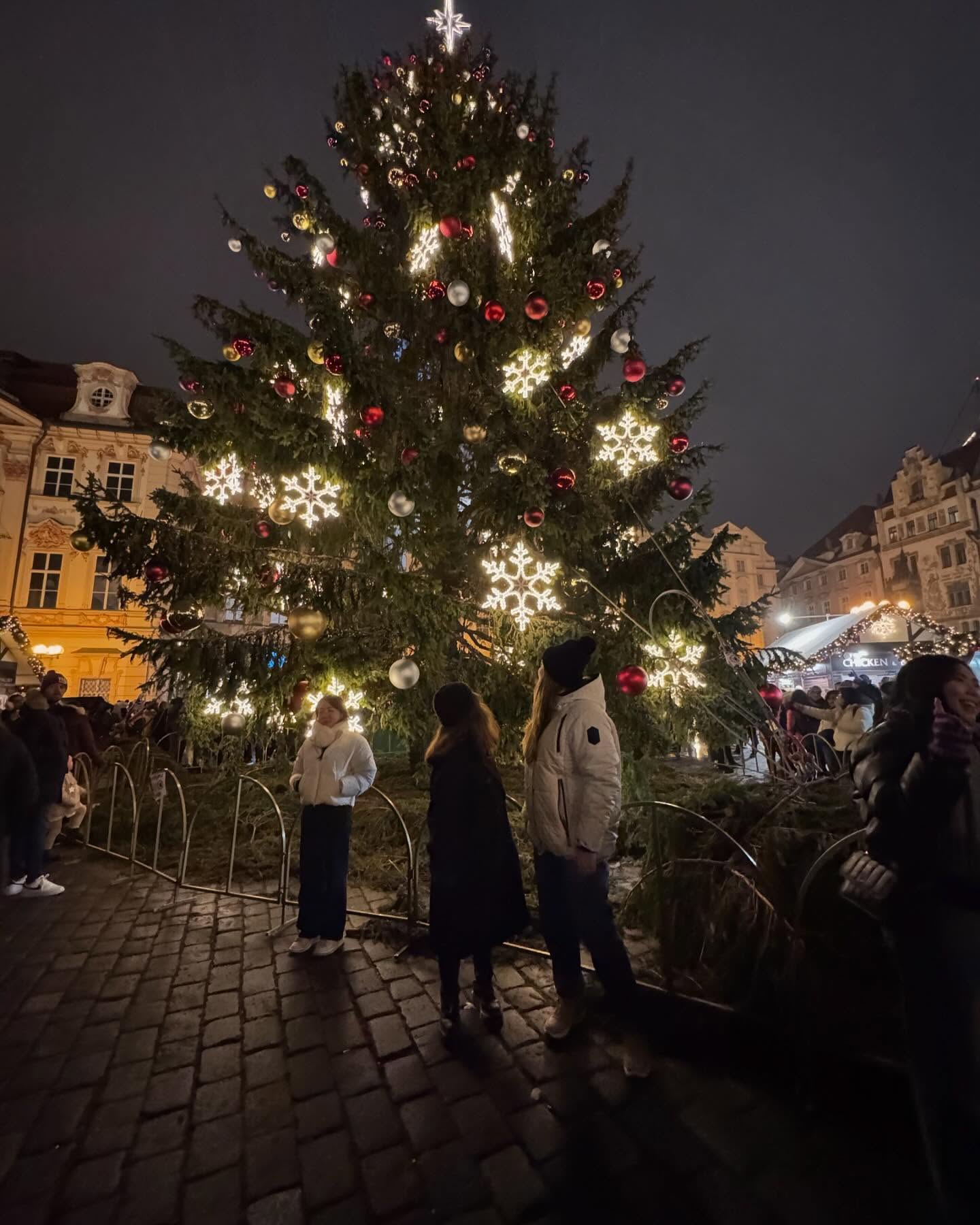 v.e.r.o._.n.i.c.a instagram image archive image