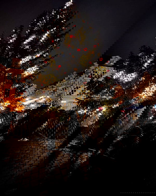 v.e.r.o._.n.i.c.a image ~ Altpins