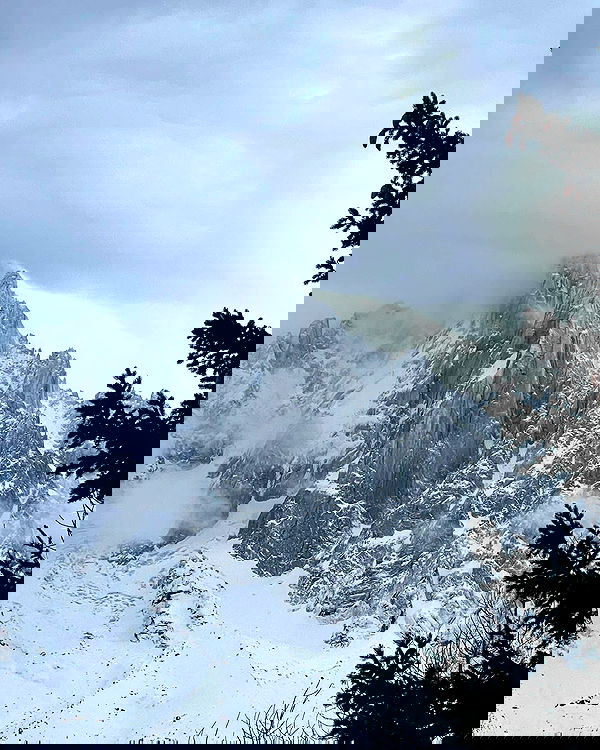 v.e.r.o._.n.i.c.a image ~ Altpins