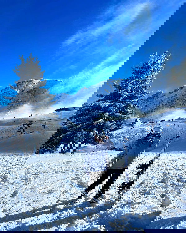 v.e.r.o._.n.i.c.a image ~ Altpins