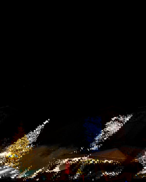 v.e.r.o._.n.i.c.a image ~ Altpins