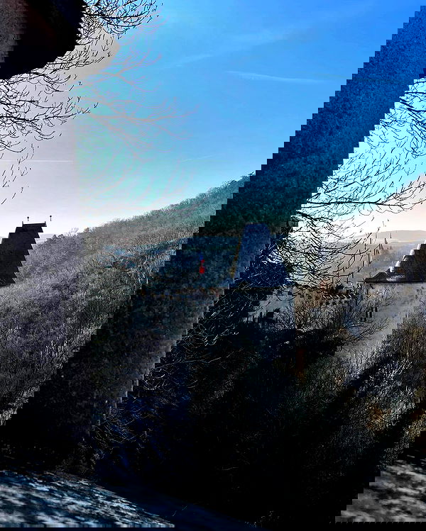 v.e.r.o._.n.i.c.a image ~ Altpins