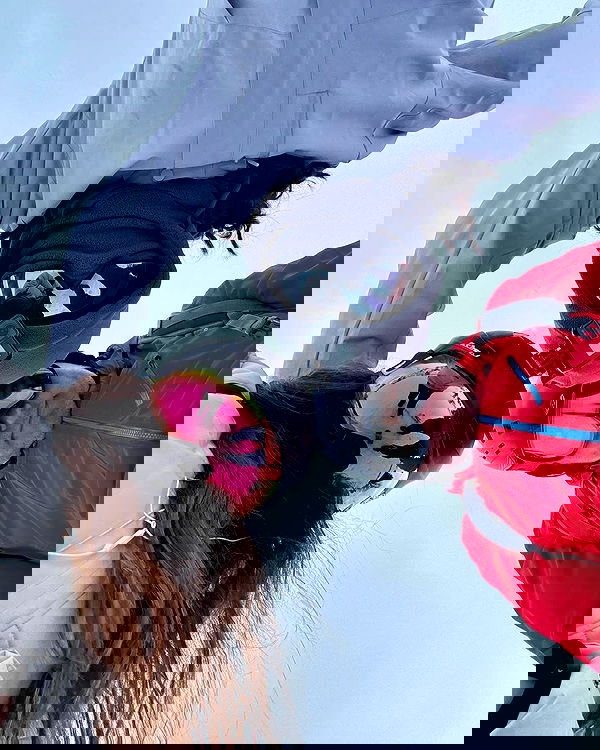 v.e.r.o._.n.i.c.a image ~ Altpins