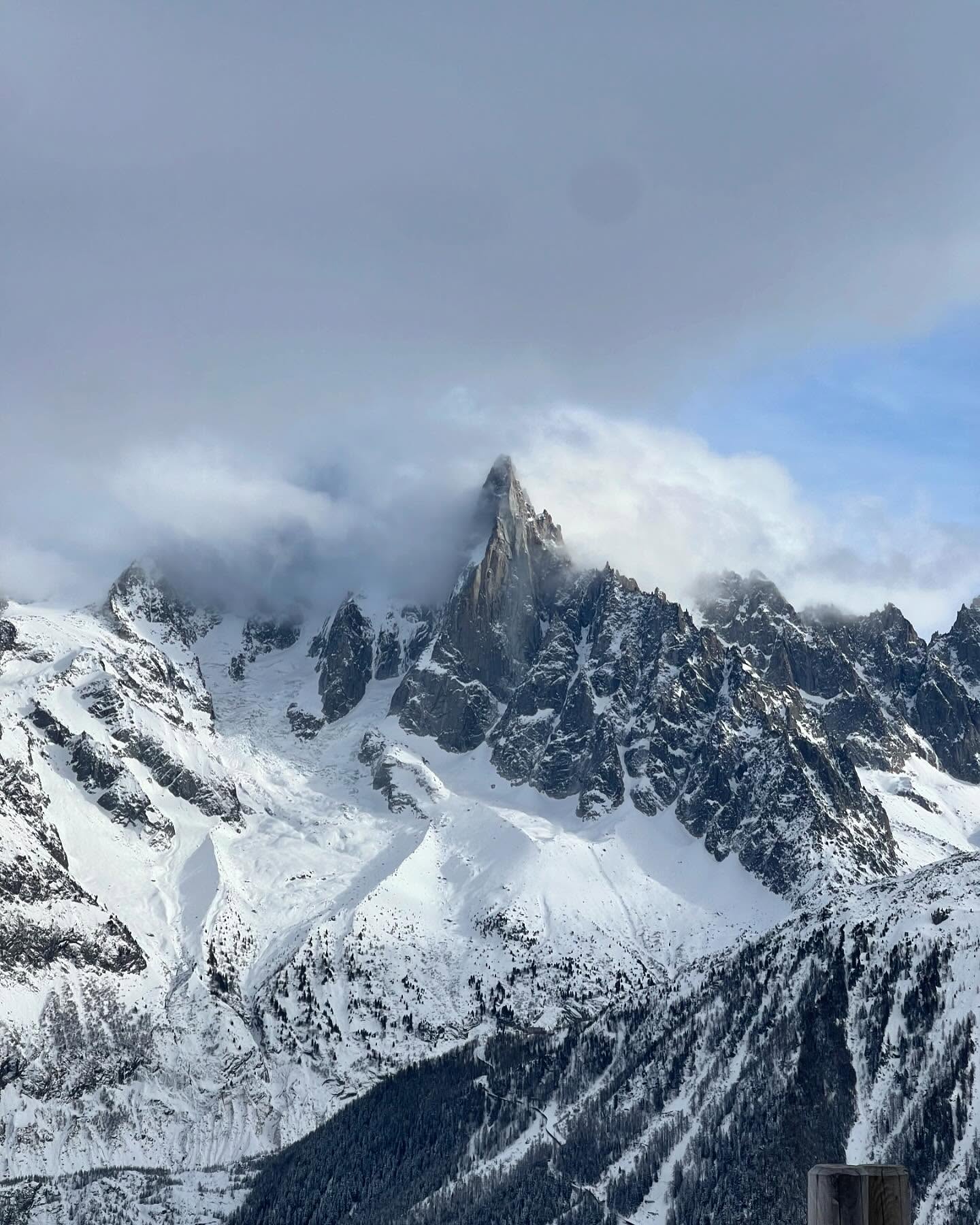 v.e.r.o._.n.i.c.a instagram image archive image