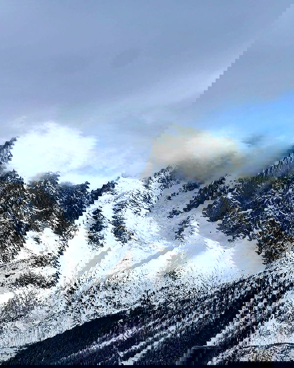 v.e.r.o._.n.i.c.a image ~ Altpins