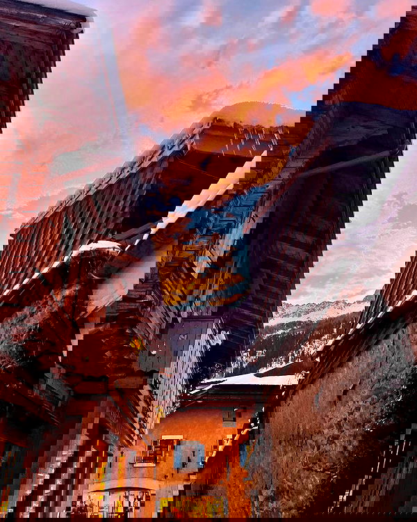 v.e.r.o._.n.i.c.a image ~ Altpins