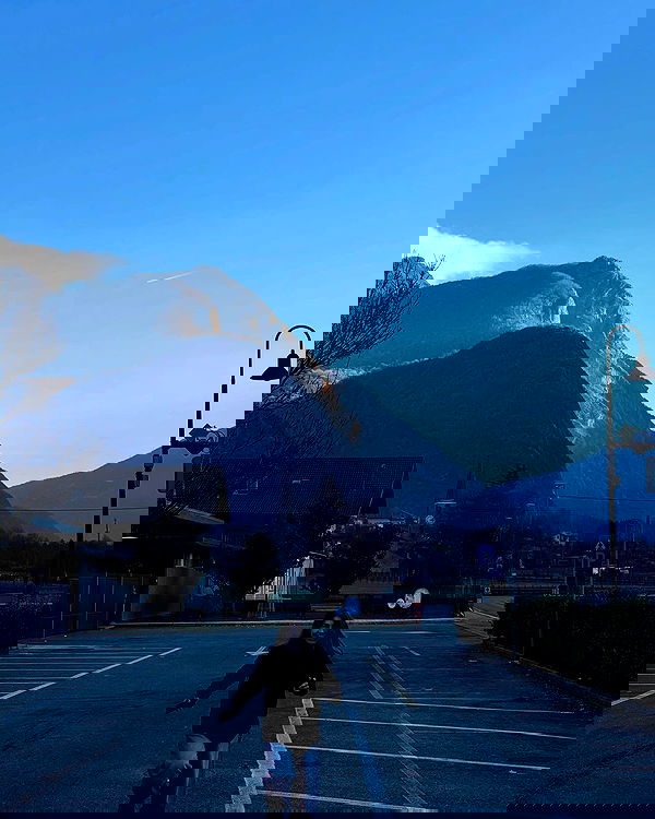 v.e.r.o._.n.i.c.a image ~ Altpins