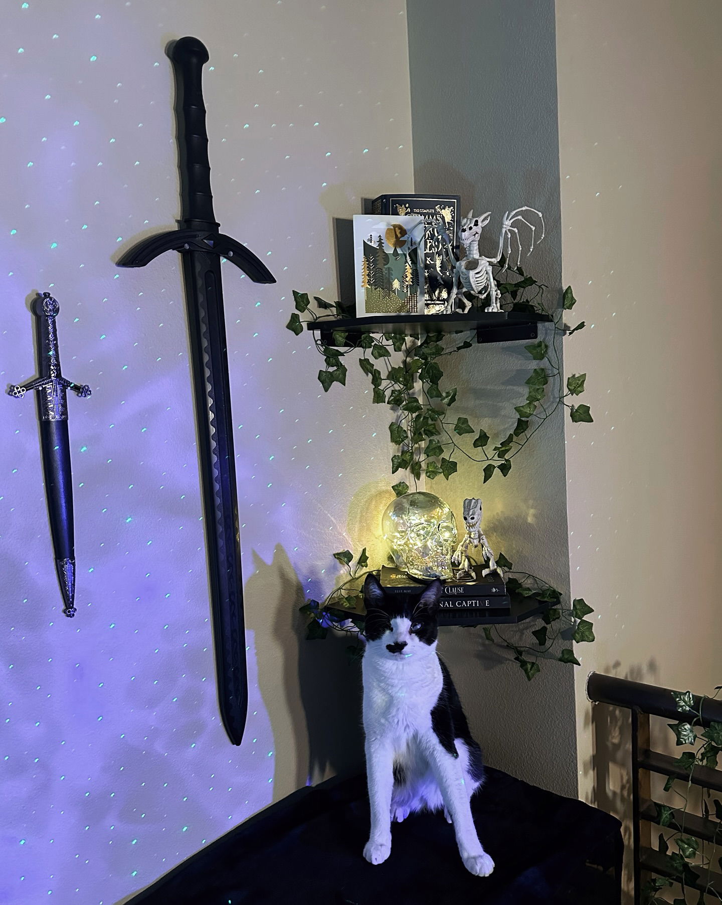 v.okay instagram image archive image