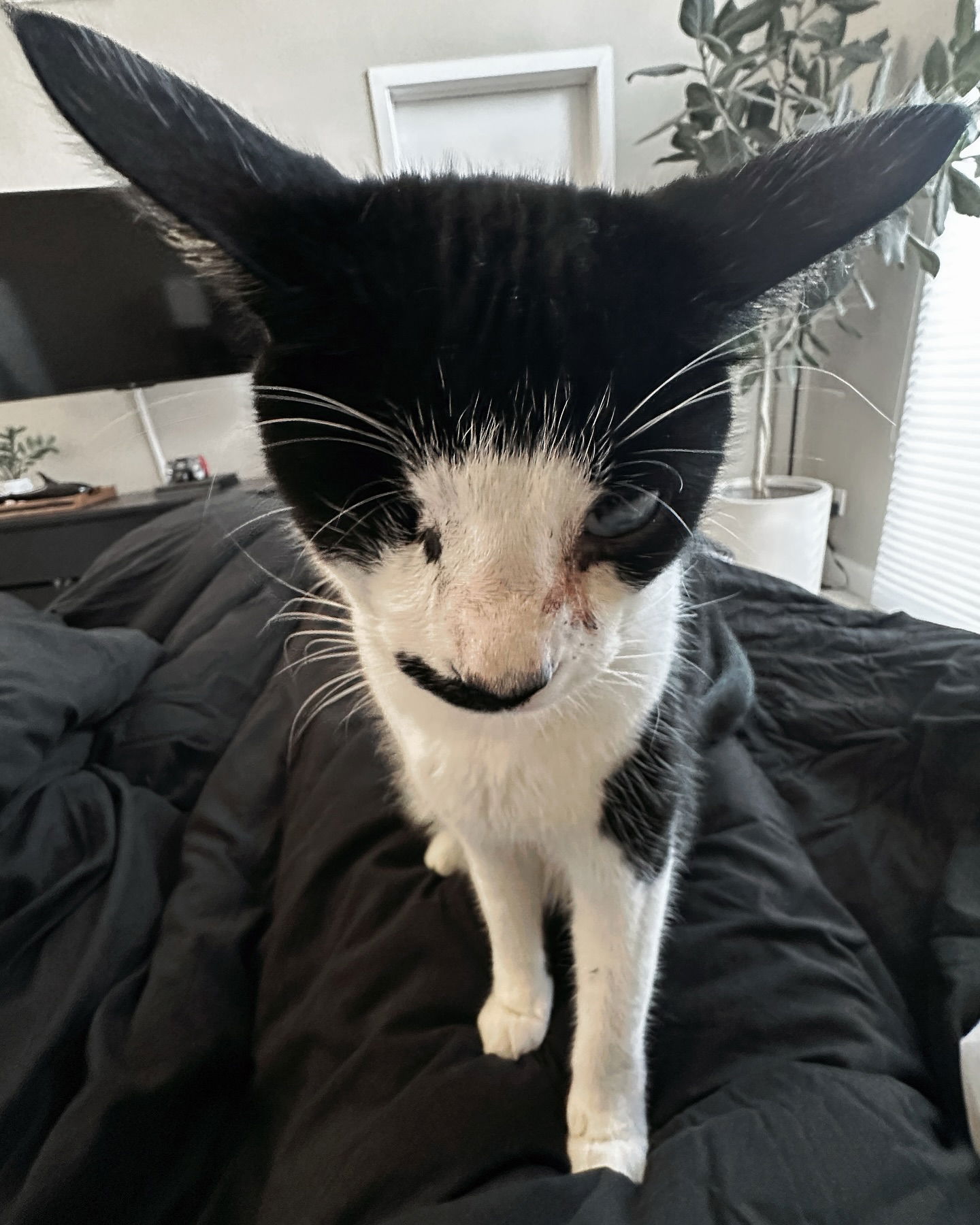 v.okay instagram image archive image