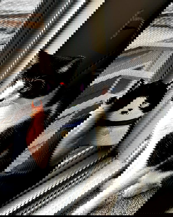 v.okay image ~ Altpins