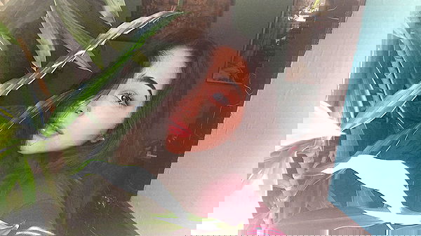 v.qx v.qx archive image