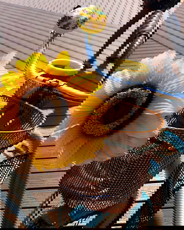 v.qx v.qx archive image