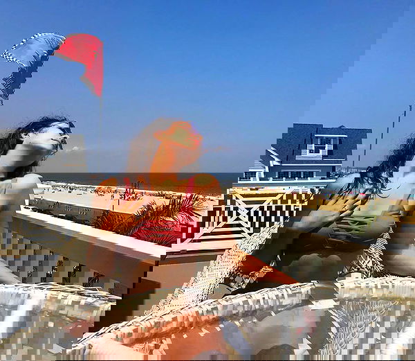 v.qx v.qx archive image