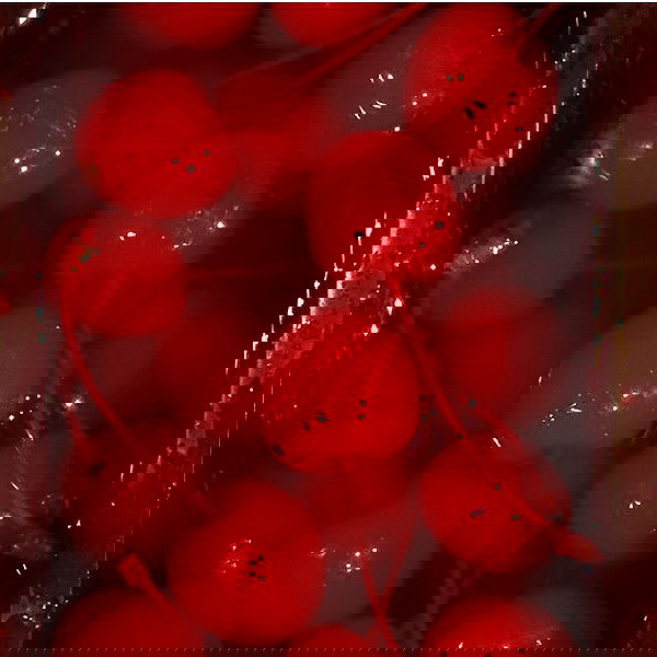 v.qx v.qx archive image