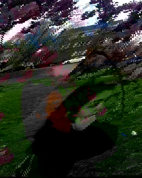 v.qx v.qx archive image