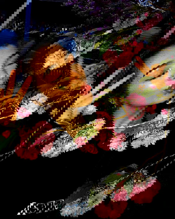 v.qx v.qx archive image