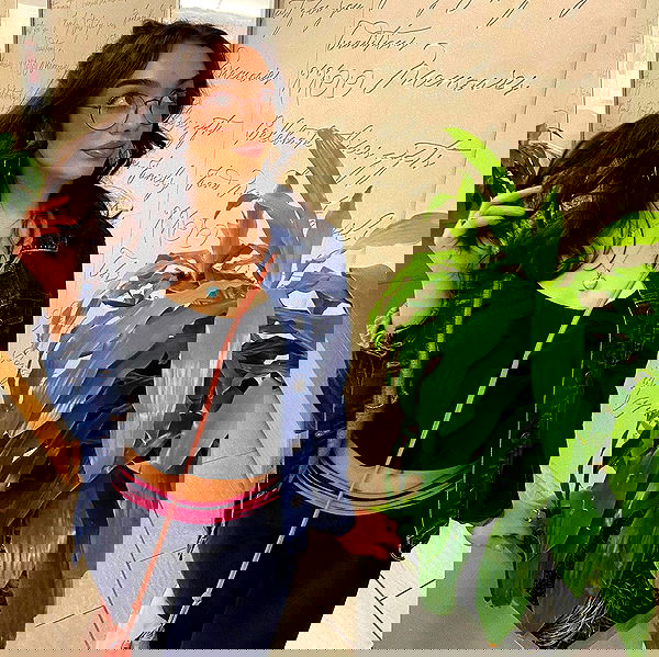 v.qx v.qx archive image