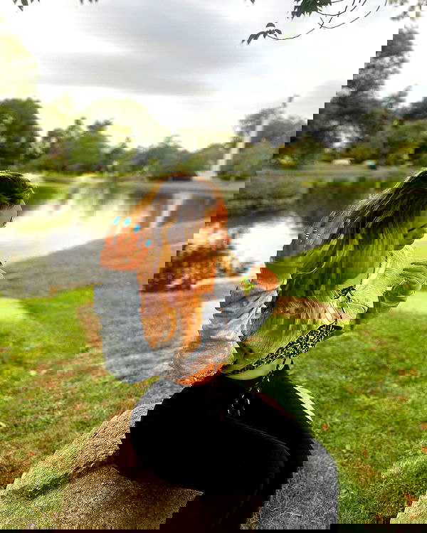 v.qx v.qx archive image