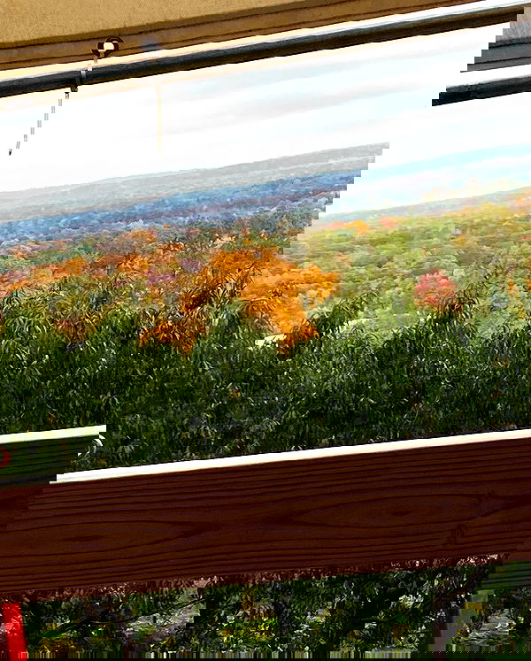 v.qx v.qx archive image