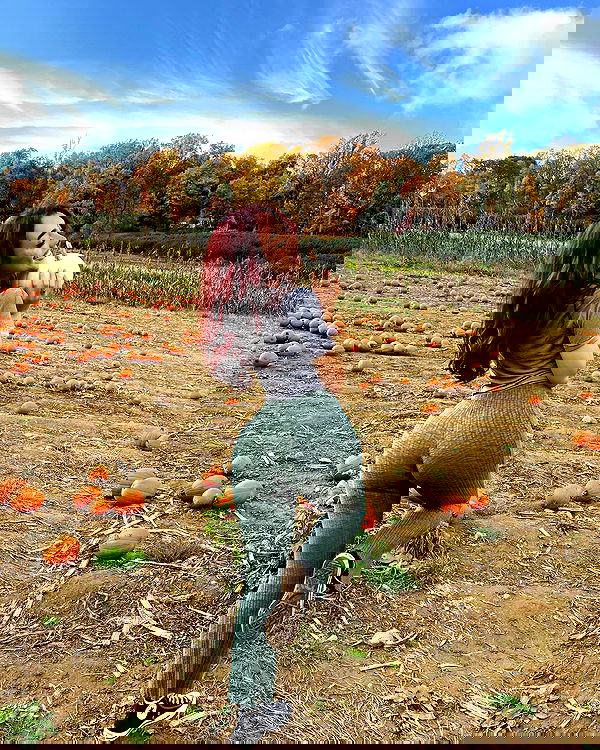 v.qx v.qx archive image