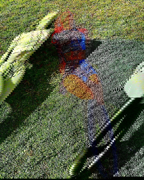 v.qx v.qx archive image