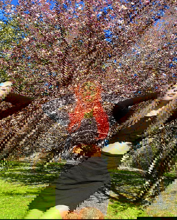 v.qx v.qx archive image