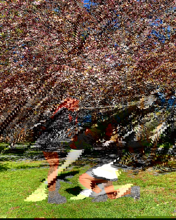 v.qx v.qx archive image