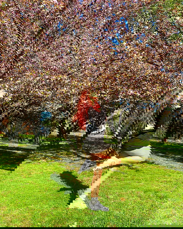 v.qx v.qx archive image