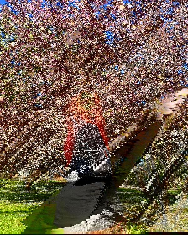 v.qx v.qx archive image