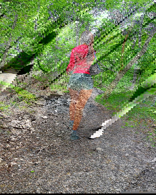 v.qx v.qx archive image