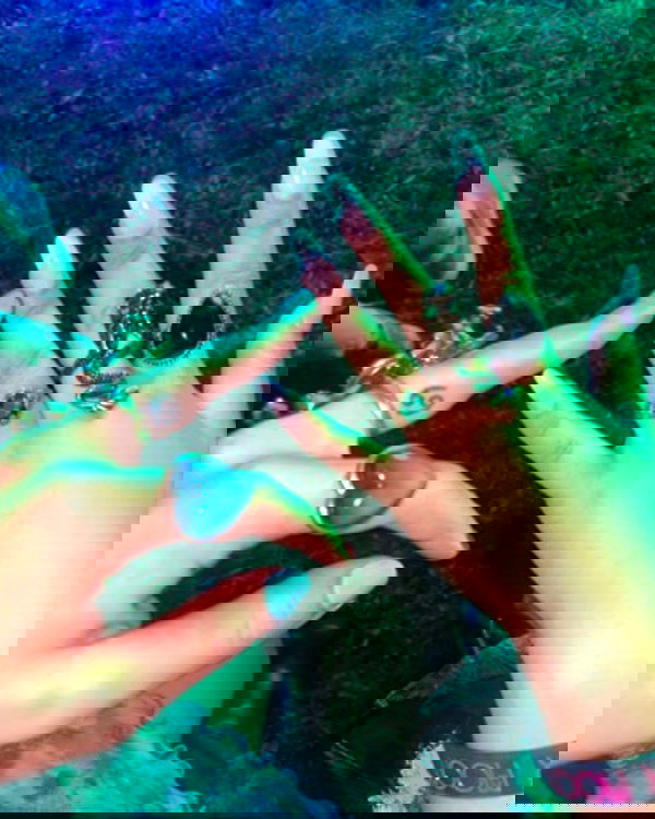 v.qx v.qx archive image