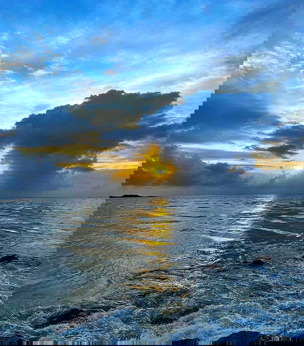 v.qx v.qx archive image