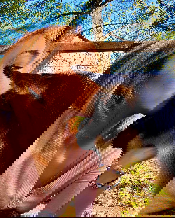 v.qx v.qx archive image