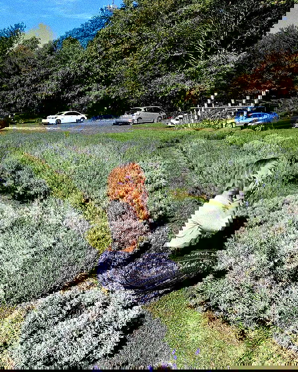 v.qx v.qx archive image