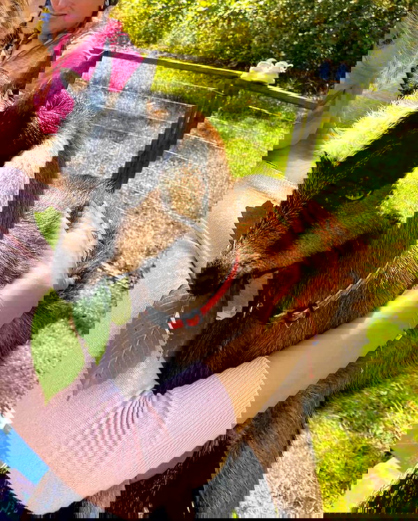 v.qx v.qx archive image