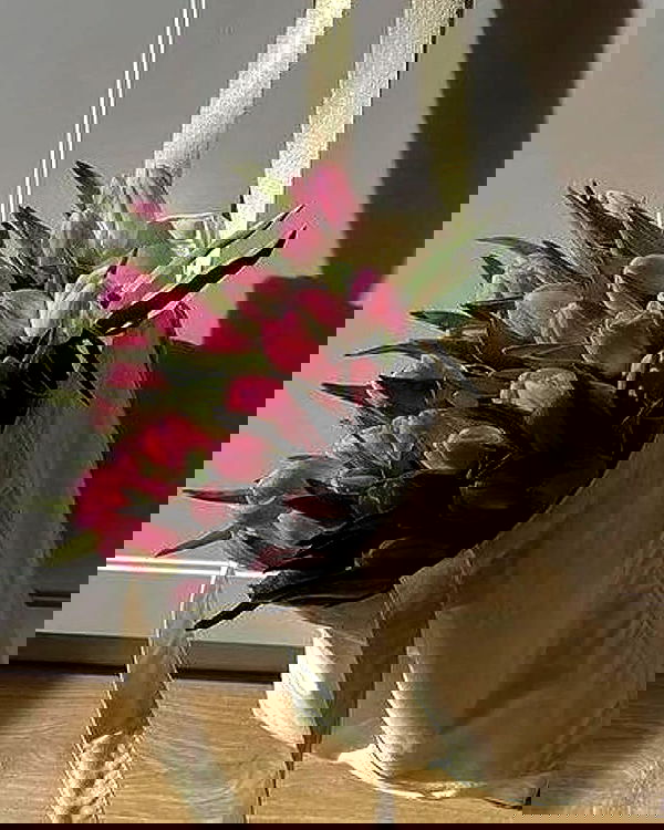 v.qx v.qx archive image