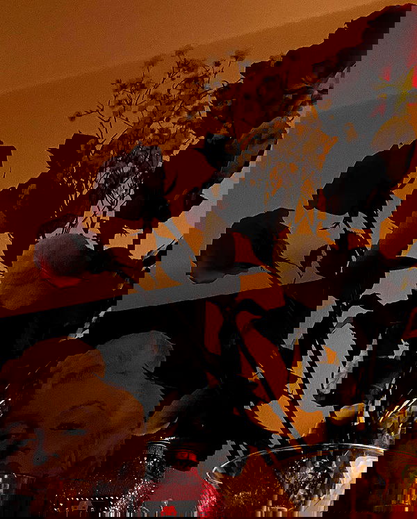 v.qx v.qx archive image