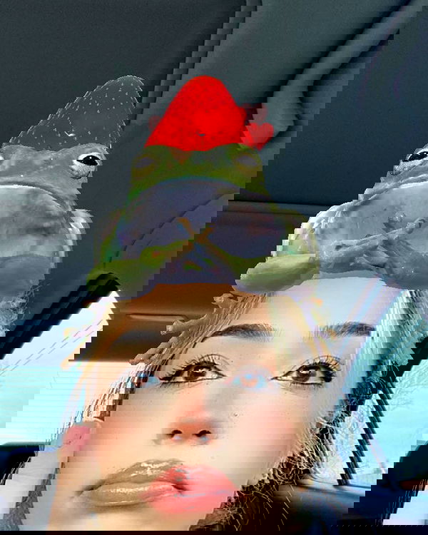 v.qx v.qx archive image