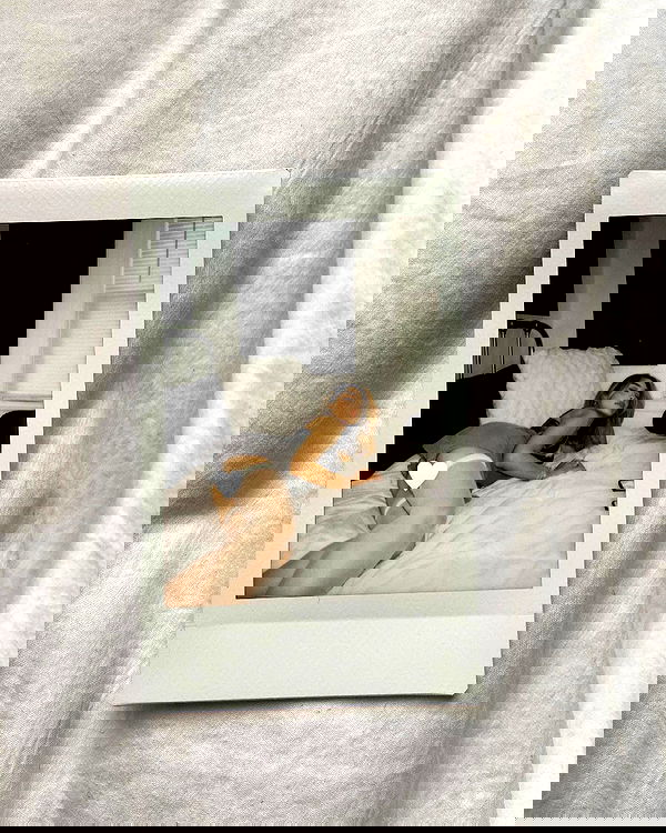 v.qx v.qx archive image