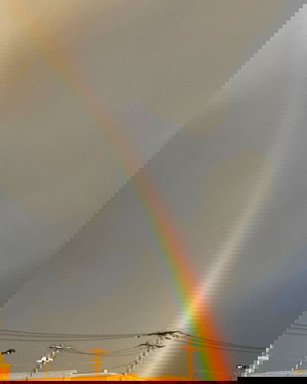 v.qx v.qx archive image