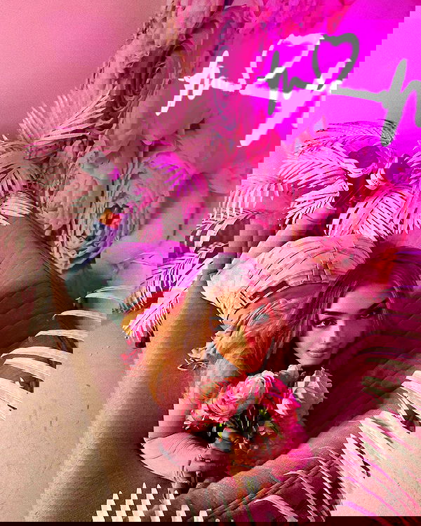 v.qx v.qx archive image