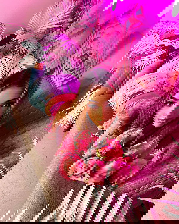 v.qx v.qx archive image