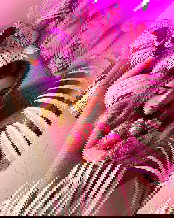 v.qx v.qx archive image