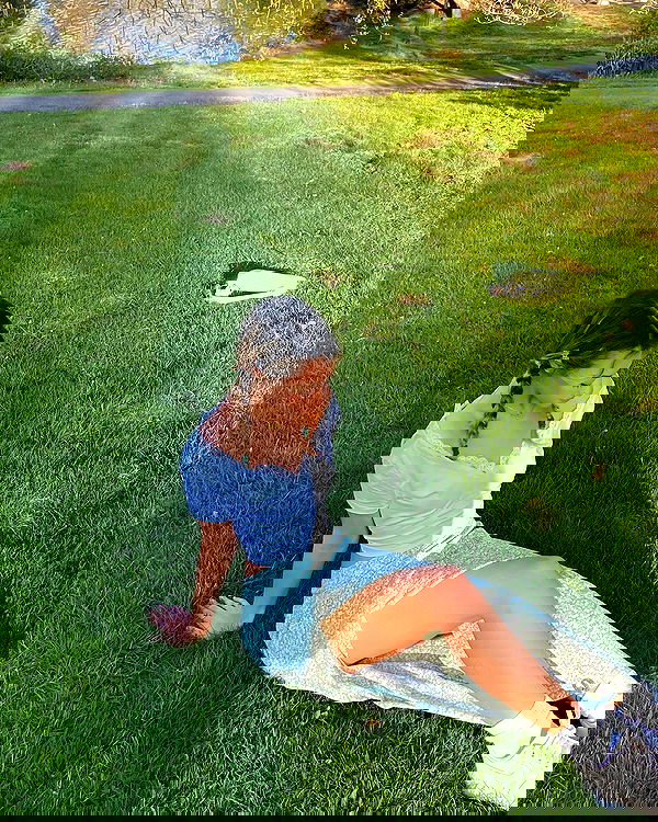 v.qx v.qx archive image